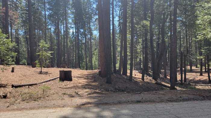 photo 11: 3043 Shoshone, Camp Connell CA 95223