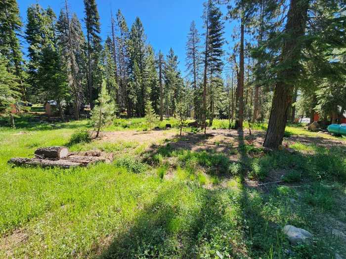 photo 1: 1462 Alpine Vista, Tamarack CA 95223