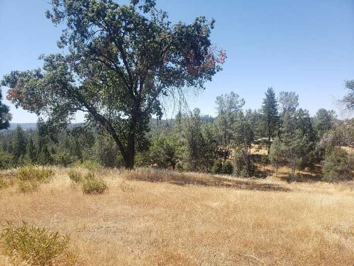 photo 1: 390 Red Fox, Mountain Ranch CA 95246