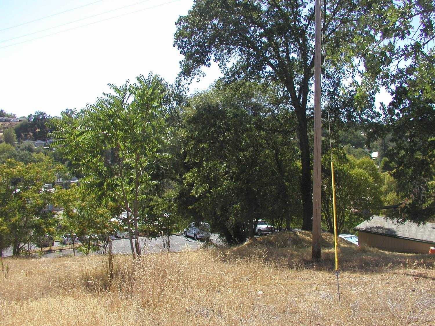 photo 2: Raspberry Lane, Angels Camp CA 95222