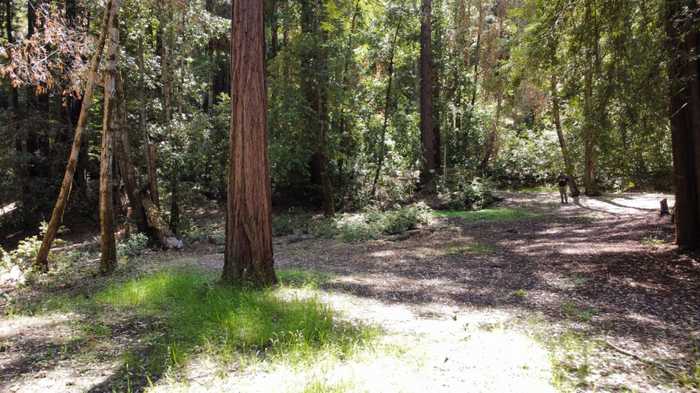 photo 1: 0 Roberts RD, BEN LOMOND CA 95005