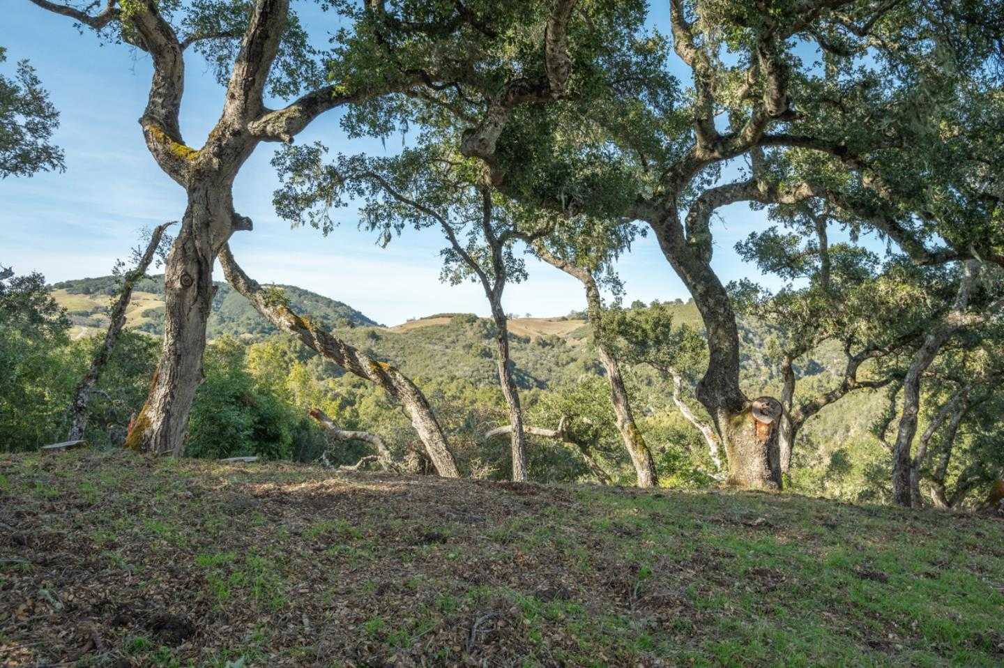 photo 1: 5 Vasquez Trail (Lot 170), CARMEL CA 93923