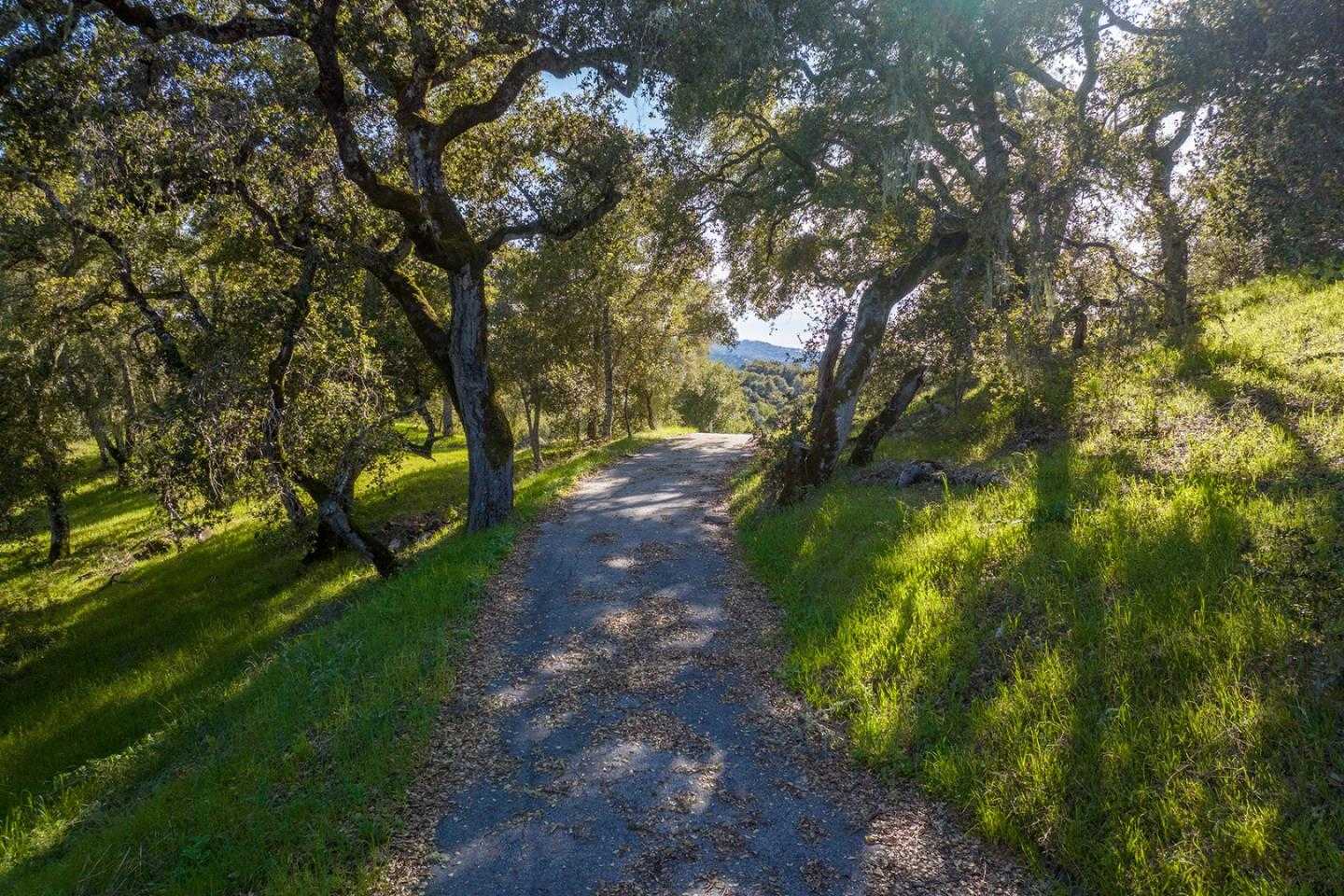 photo 3: 7 Vasquez Trail (Lot 172), CARMEL CA 93923