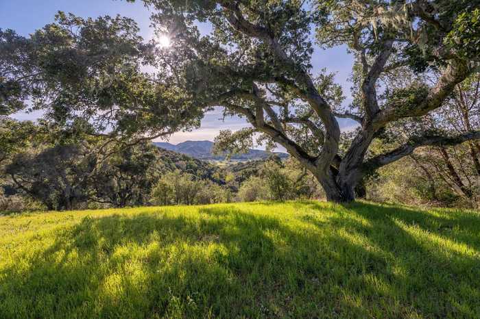 photo 9: 7 Vasquez Trail (Lot 172), CARMEL CA 93923