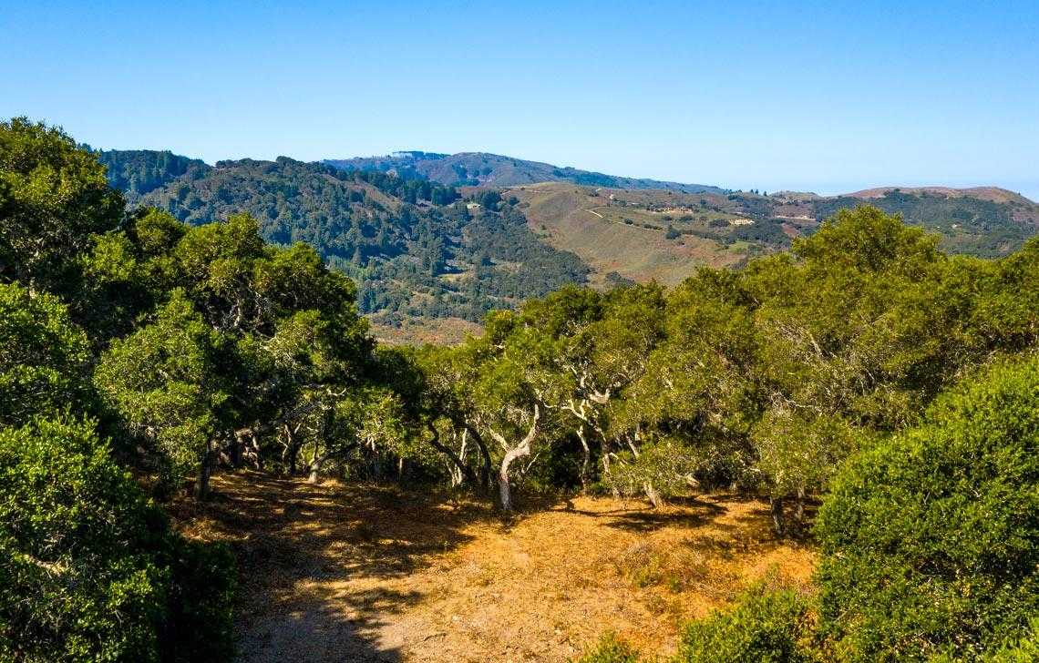 photo 3: 2 Corral Run (Lot D6), CARMEL CA 93923