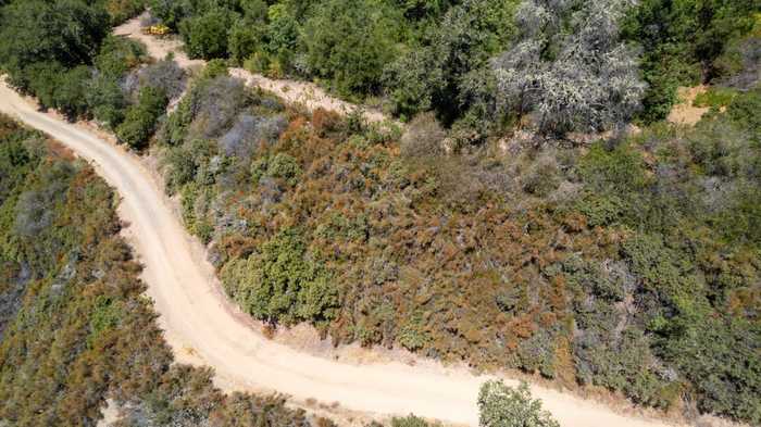 photo 8: Lot 11 Bear Creek Road, LOS GATOS CA 95033