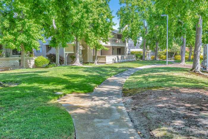 photo 49: 264 Bonita LN, FOSTER CITY CA 94404