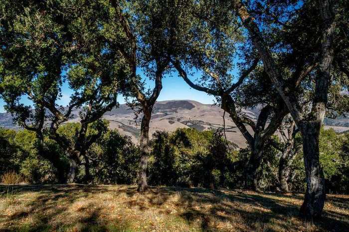 photo 2: 17114 Cachagua RD, CARMEL VALLEY CA 93924