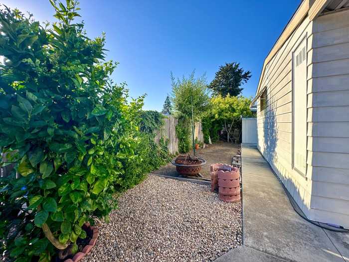 photo 12: 1220 Vienna DR 482, SUNNYVALE CA 94089