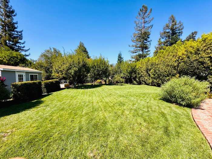 photo 16: 643 Almond AVE, LOS ALTOS CA 94024