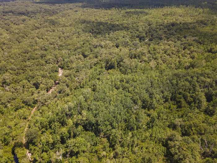 photo 35: Vacant SW Hike Lake Road, MADISON COUNTY FL 32340