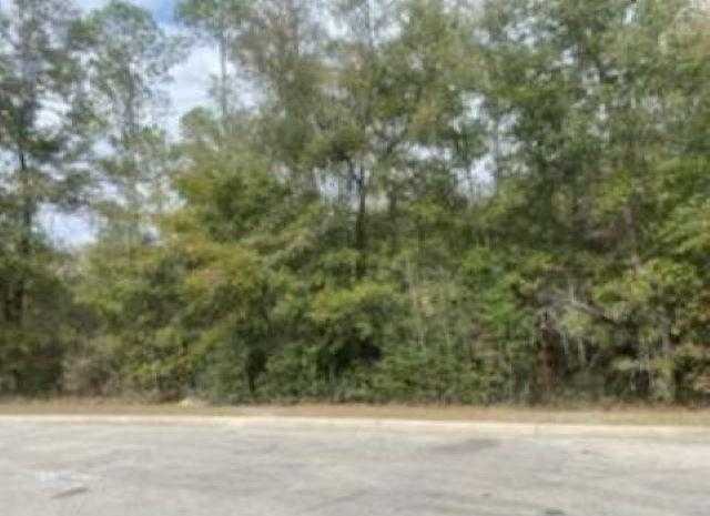 photo 2: xxxx Crawfordville Highway, CRAWFORDVILLE FL 32327