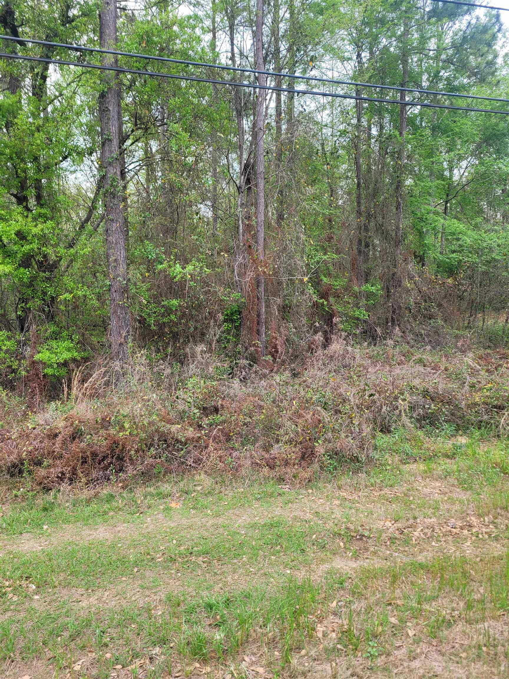 photo 1: Lot 1 Faceville Highway, OTHER GEORGIA GA 39819