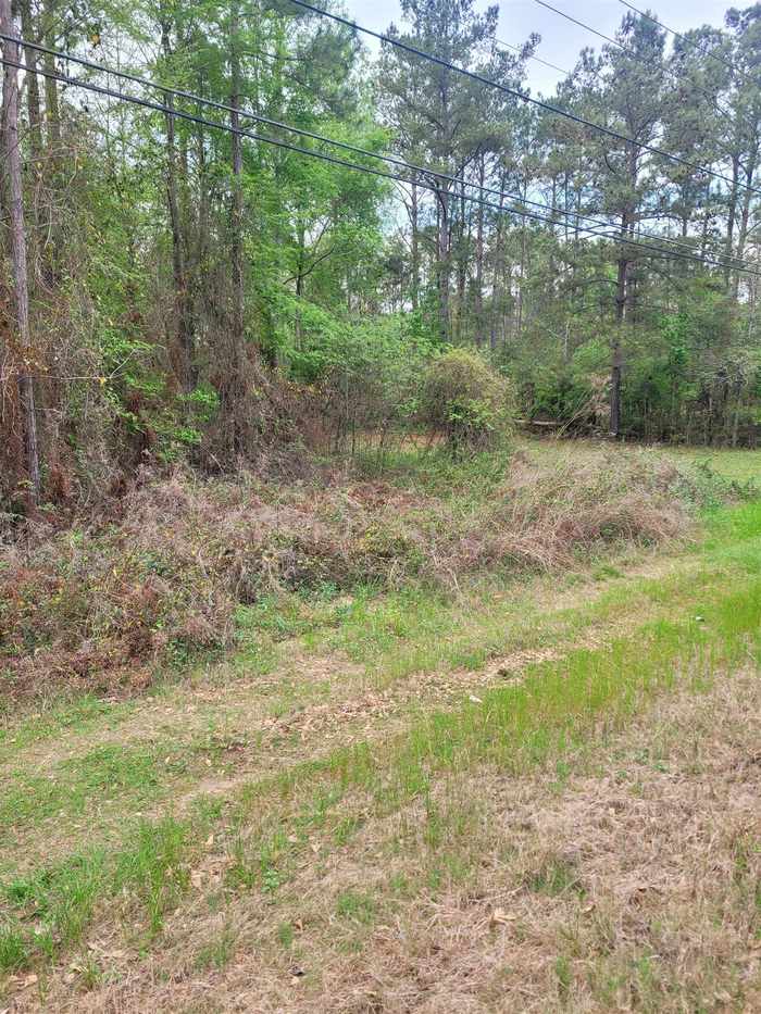 photo 2: Lot 1 Faceville Highway, OTHER GEORGIA GA 39819