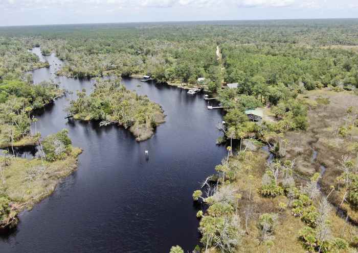 photo 30: 20000 Mossy Hammock Grade, LAMONT FL 32336