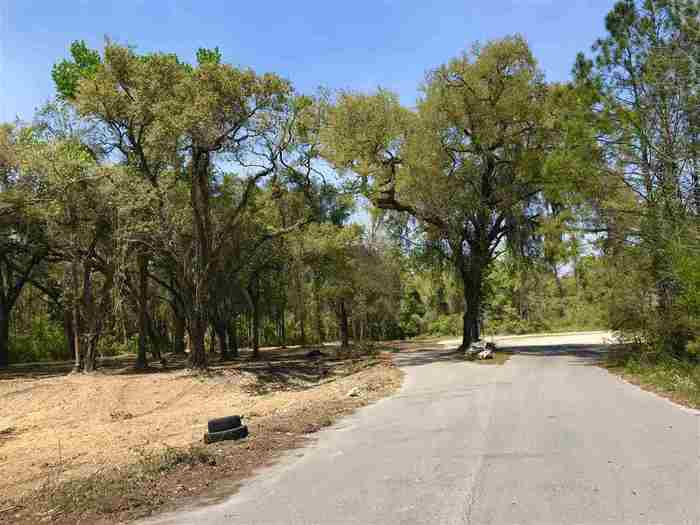 photo 6: xx Bloxham Cutoff Road, CRAWFORDVILLE FL 32327