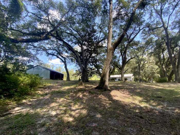 photo 10: 1710 NW Ebenezer Church Road, MADISON COUNTY FL 32340