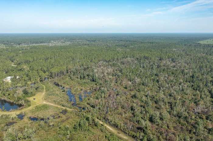 photo 2: Lot 15 Rock Crusher Road, CRAWFORDVILLE FL 32327