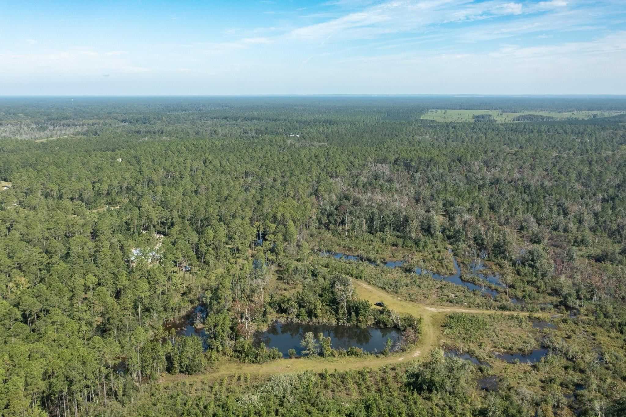 photo 3: Lot 15 Rock Crusher Road, CRAWFORDVILLE FL 32327