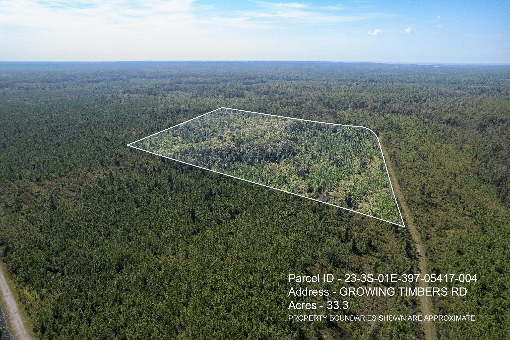 photo 1: Lot 4 Growing Timbers Road, Crawfordville FL 32327