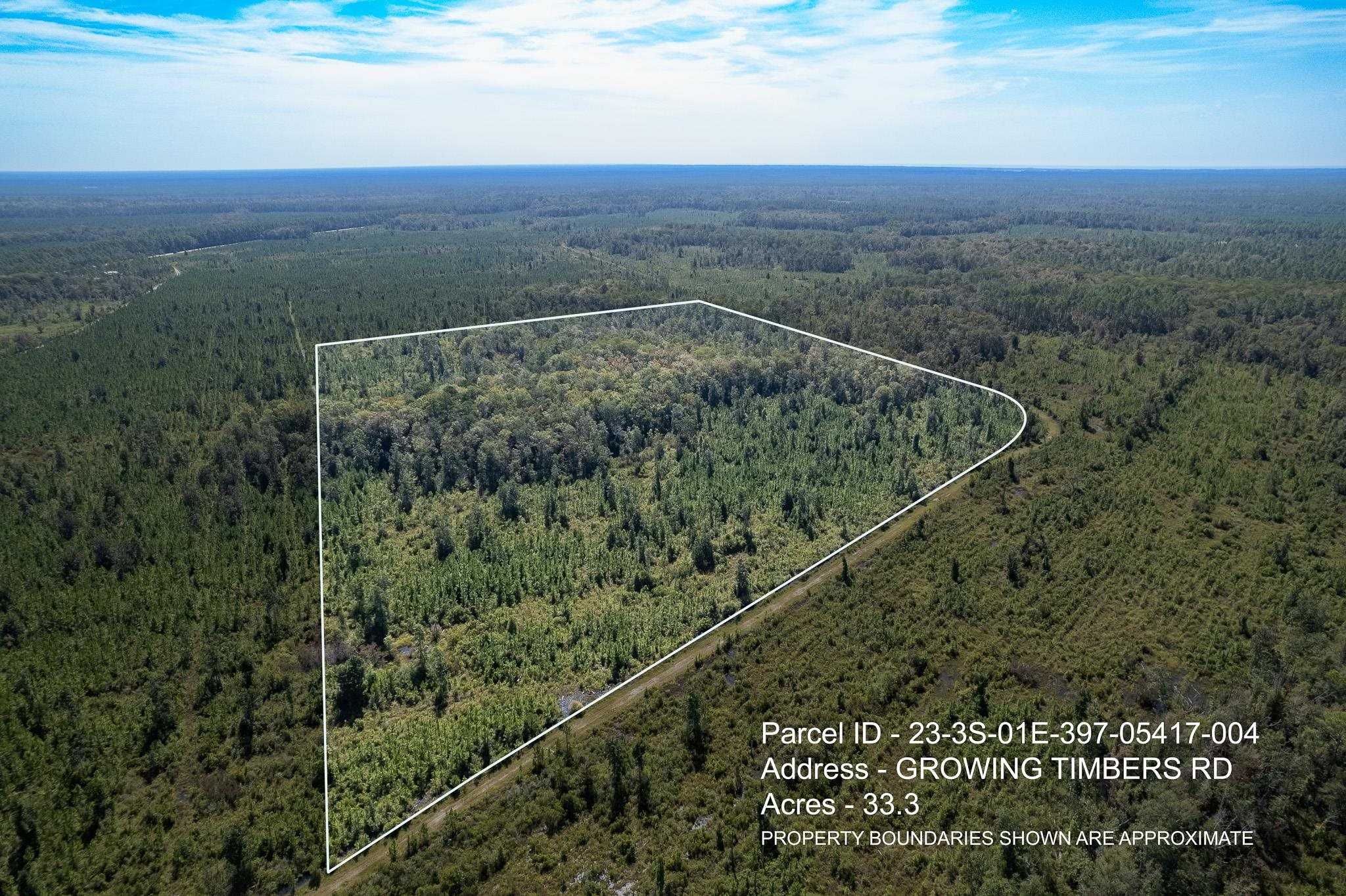 photo 3: Lot 4 Growing Timbers Road, Crawfordville FL 32327