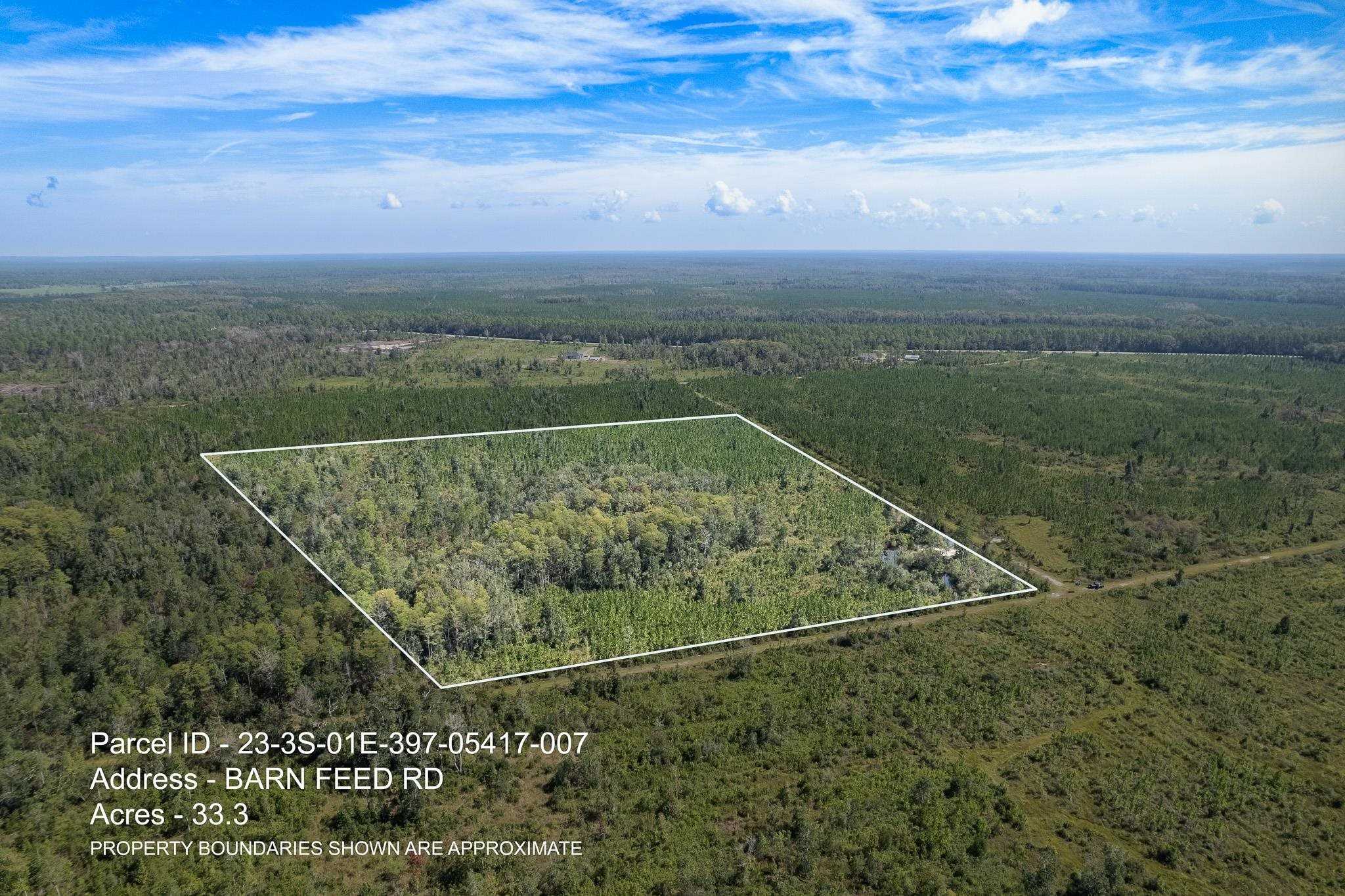 photo 1: Lot 7 Barn Feed Road, Crawfordville FL 32327