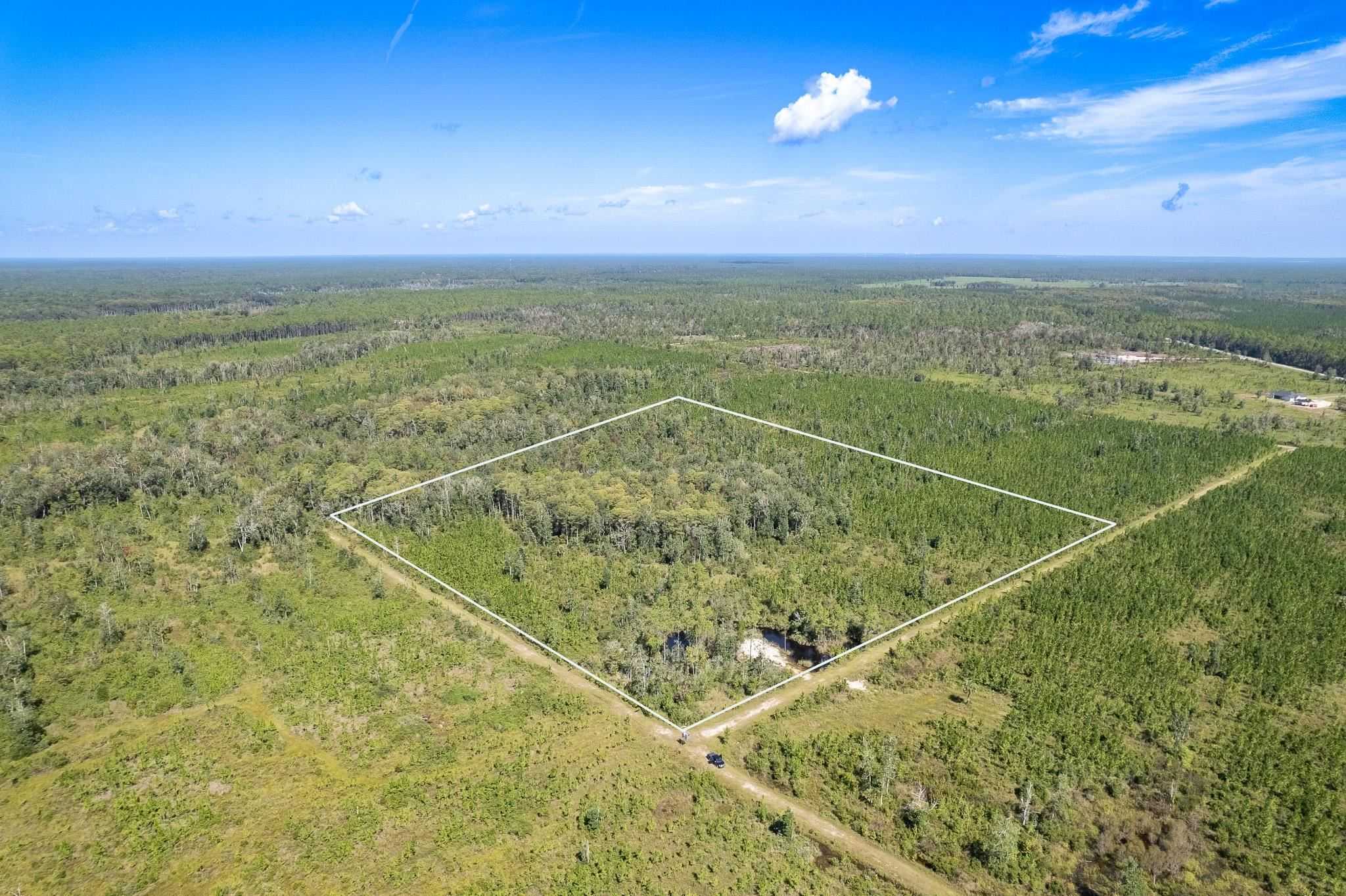 photo 3: Lot 7 Barn Feed Road, Crawfordville FL 32327