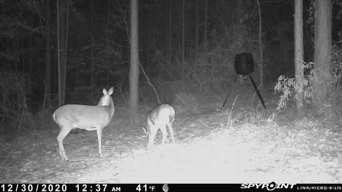 photo 38: TBD Jinks Crossing Road, BAINBRIDGE GA 39819