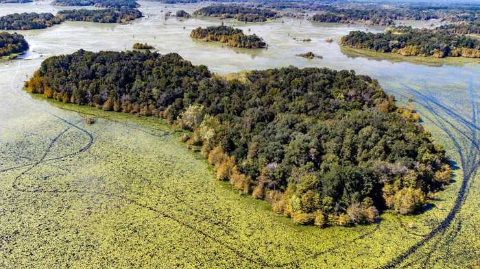 photo 1: xxxx LAKE IAMONIA ISLANDS Island, TALLAHASSEE FL 32312