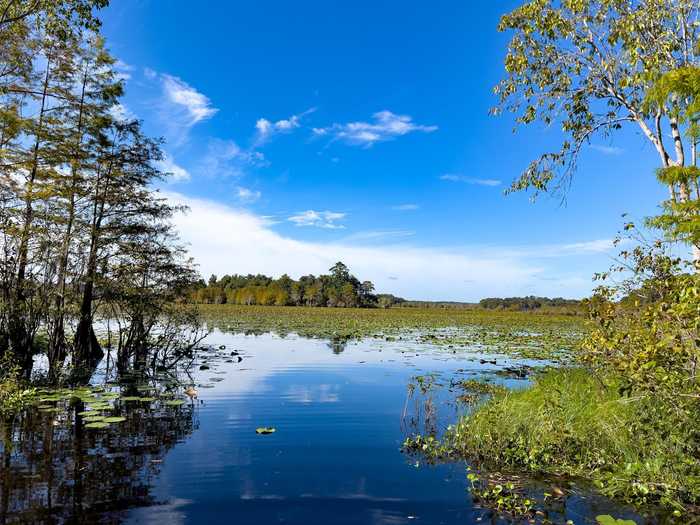 photo 2: xxxx LAKE IAMONIA ISLANDS Island, TALLAHASSEE FL 32312