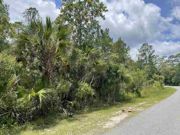 photo 1: Lot 1 B Seargent Preble, ST MARKS FL 32355