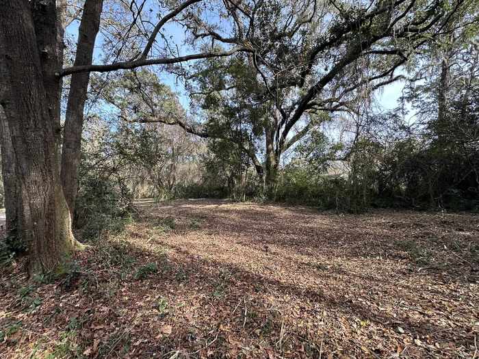 photo 1: 3911 Apalachee Parkway, TALLAHASSEE FL 32311