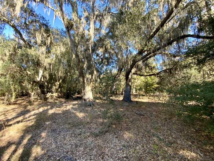 photo 1: Vacant NE Bittersweet Trail, MADISON COUNTY FL 32340