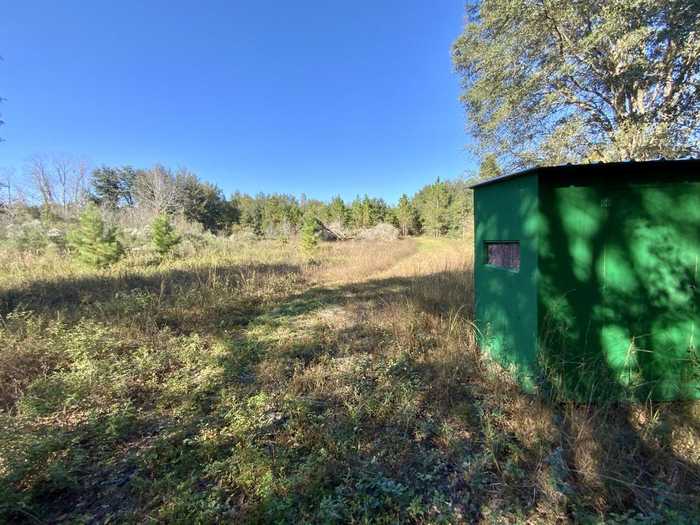 photo 2: Vacant NE Bittersweet Trail, MADISON COUNTY FL 32340