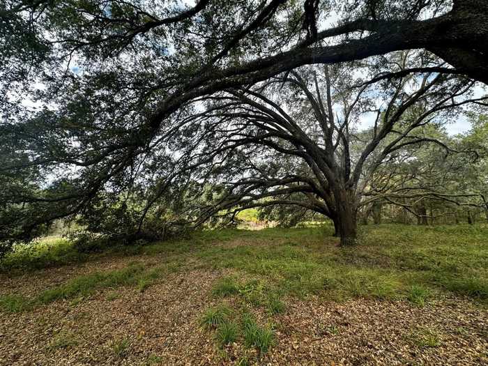 photo 1: Vacant NW Coachwhip, MADISON FL 32340