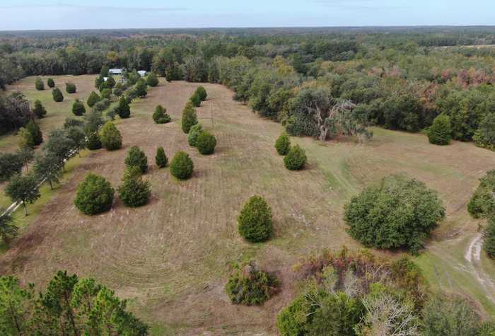 photo 2: Vacant NW Coachwhip, MADISON FL 32340