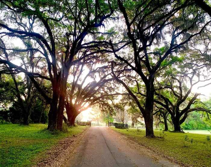 photo 1: Vacant NW Rolling Hills Drive, MADISON COUNTY FL 32340