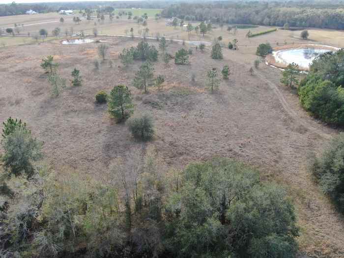 photo 35: Vacant NW Rolling Hills Drive, MADISON COUNTY FL 32340