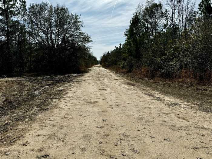 photo 2: Vacant 62 Road, LAMONT FL 32336