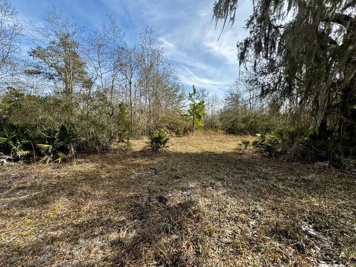 photo 42: Vacant 62 Road, LAMONT FL 32336