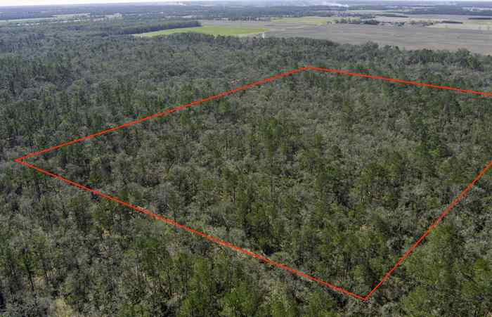 photo 1: NW CR 292, MAYO FL 32066