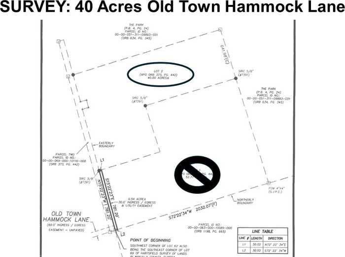 photo 13: 20 ac OLD TOWN HAMMOCK Lane, CRAWFORDVILLE FL 32327