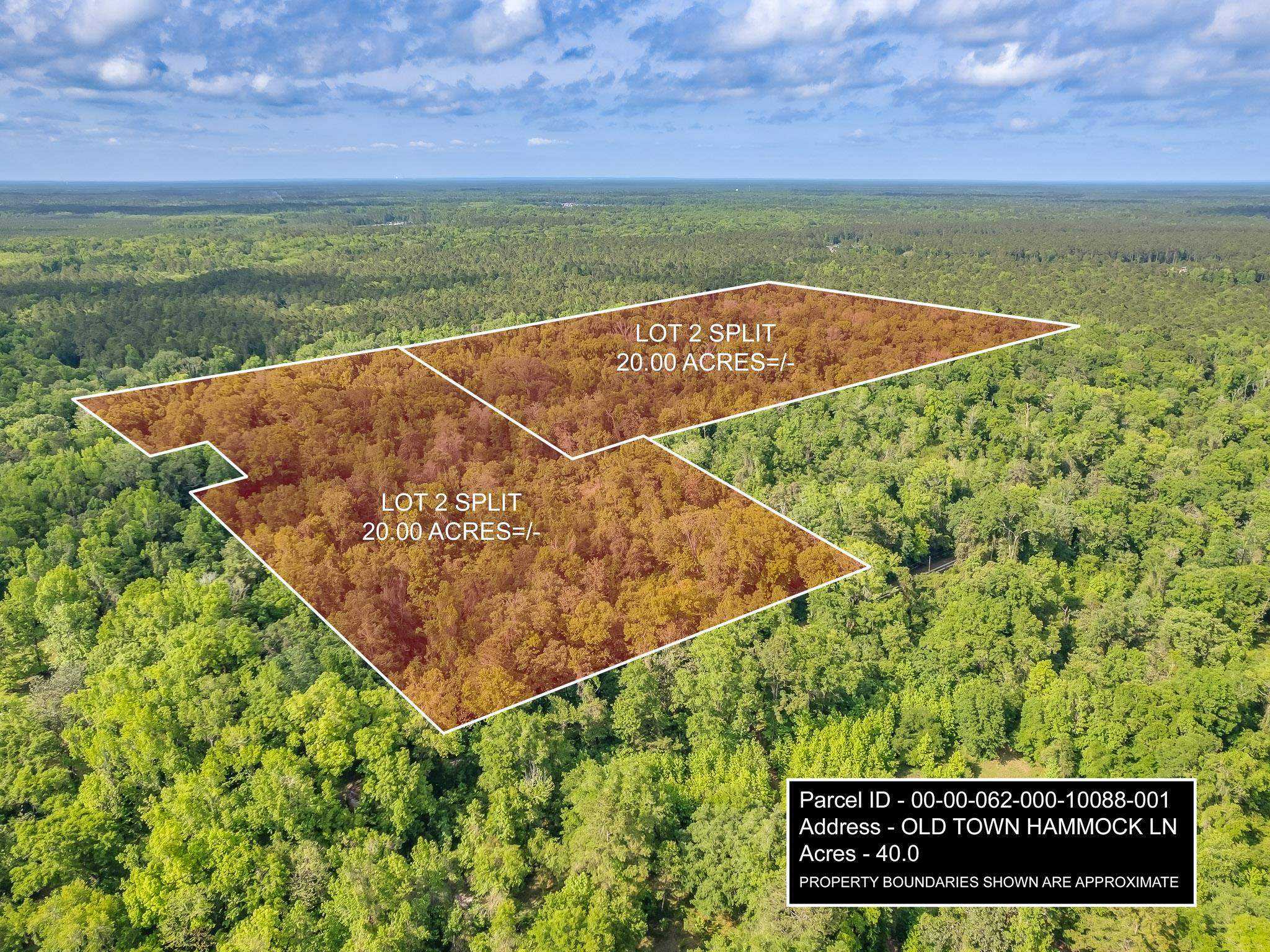 photo 1: 20 ac OLD TOWN HAMMOCK Lane, Crawfordville FL 32327