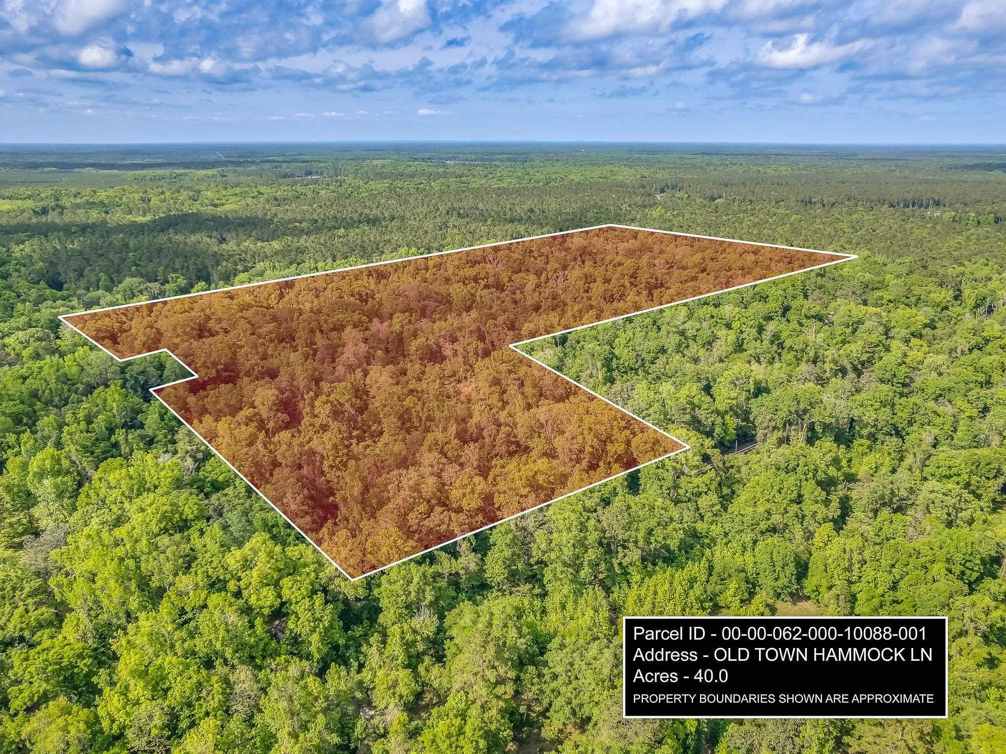 photo 2: 20 ac OLD TOWN HAMMOCK Lane, Crawfordville FL 32327