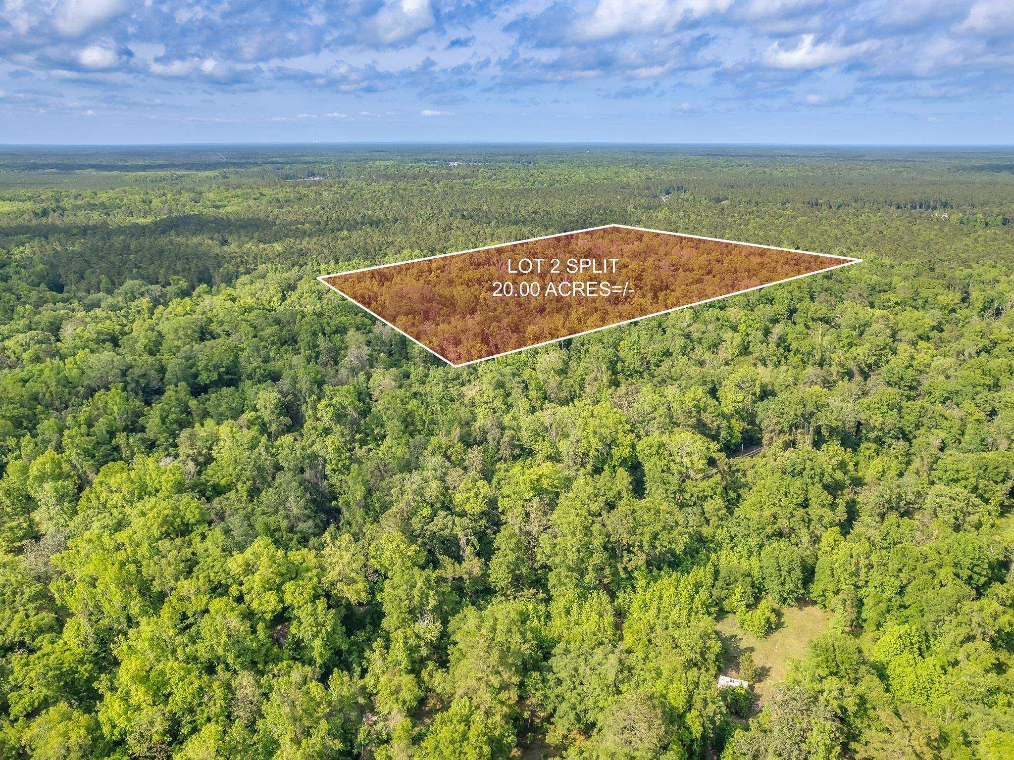 photo 3: 20 ac OLD TOWN HAMMOCK Lane, Crawfordville FL 32327