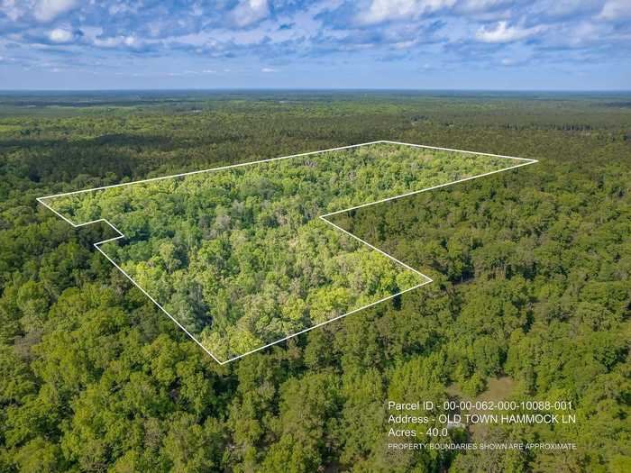 photo 1: 40 ac 0 OLD TOWN HAMMOCK Lane, CRAWFORDVILLE FL 32327