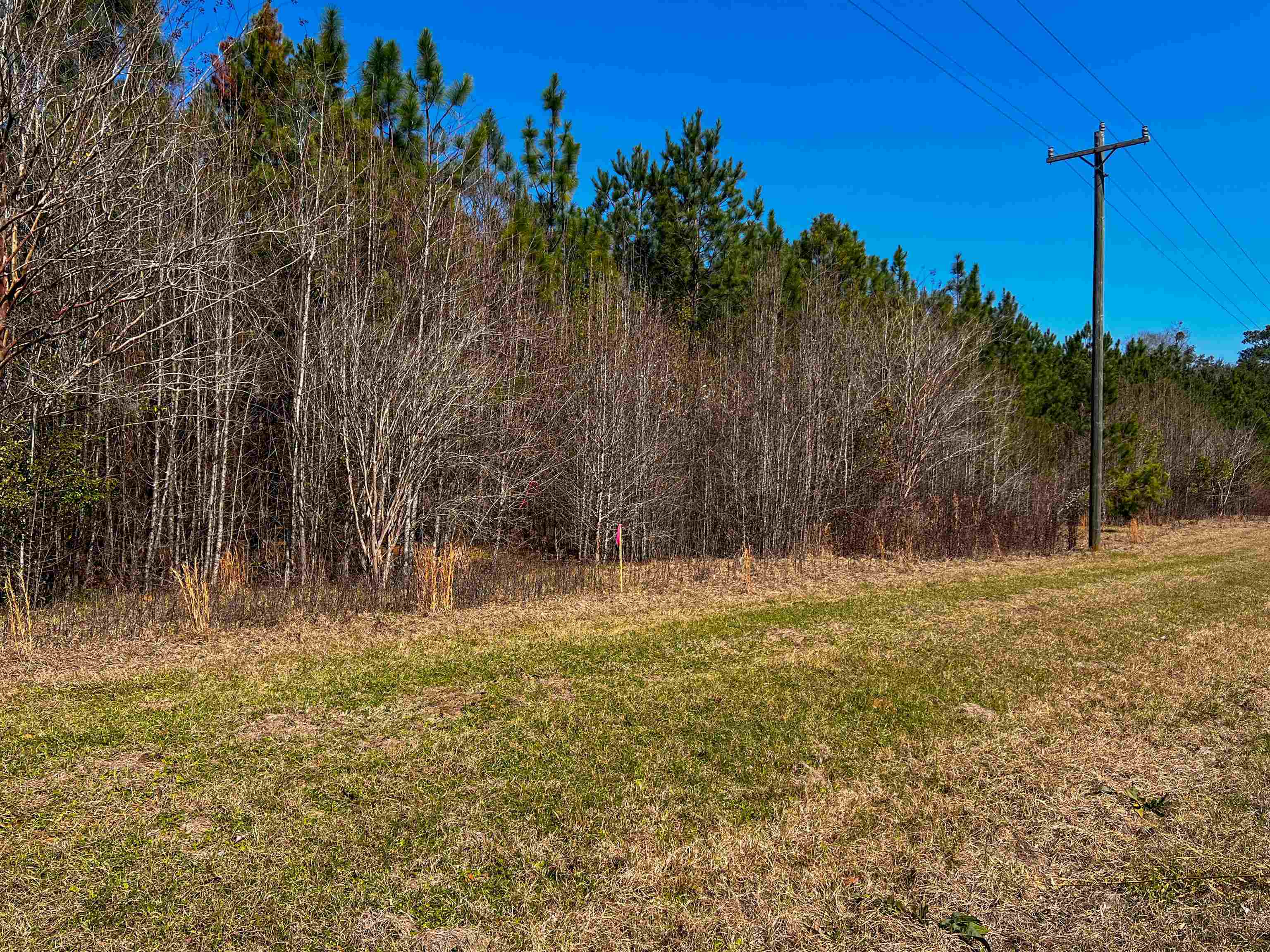 photo 1: X0X Lot 1 Solomon Dairy Road, QUINCY FL 32351