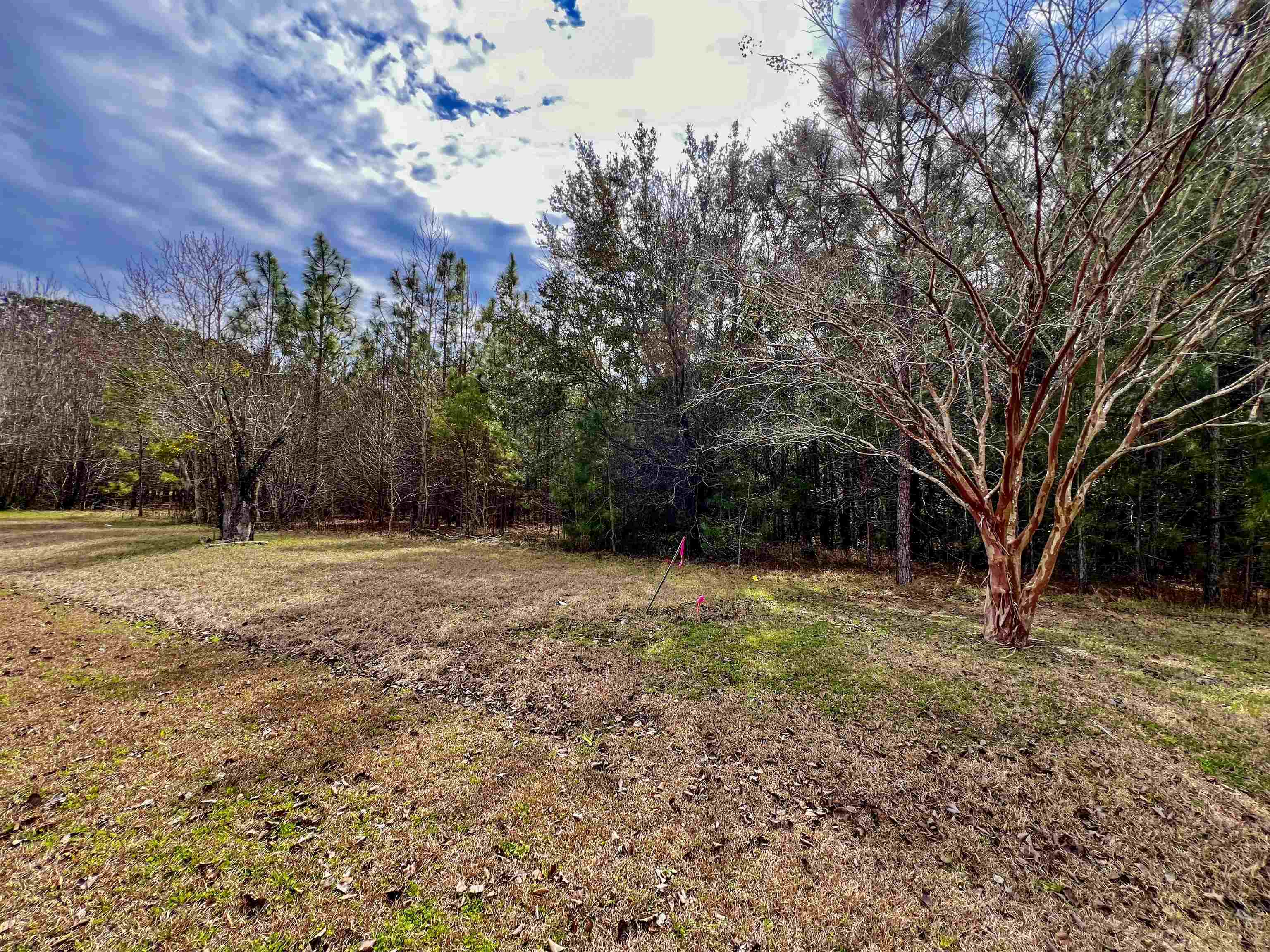 photo 2: X0X Lot 1 Solomon Dairy Road, QUINCY FL 32351