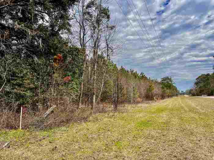 photo 2: XOX Lot 3 Solomon Dairy Road, QUINCY FL 32351