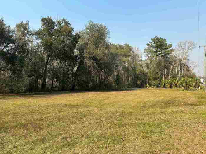 photo 1: 17673 NE State Road 65, HOSFORD FL 32334